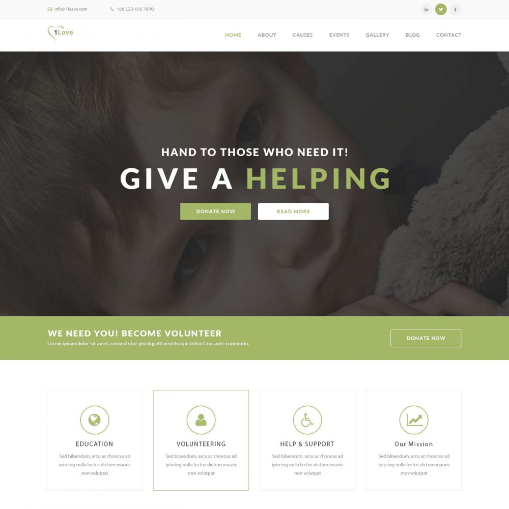 Non Profit Crowd Funding Website for 1Love